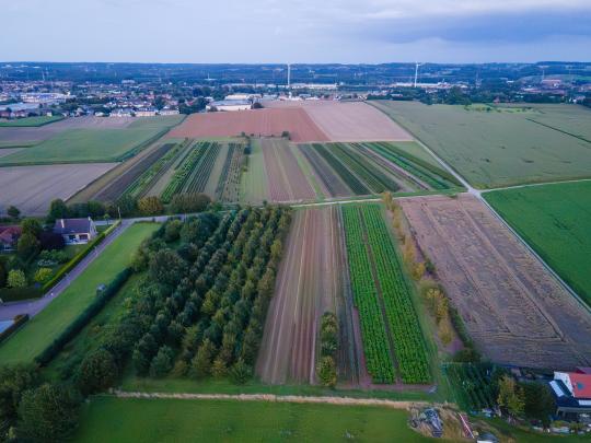 Sfeerbeeld met Brussel op achtergrond